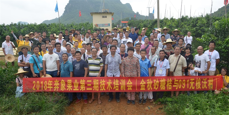 2018年奔象果業(yè)第三期技術(shù)培訓(xùn)會(huì)
