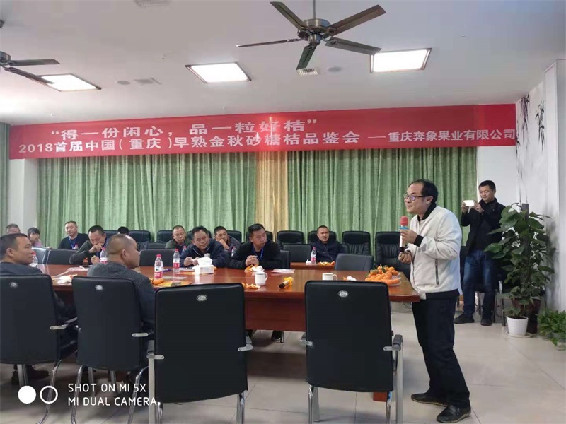 2018首屆中國（重慶）早熟金秋砂糖桔品鑒會(huì)