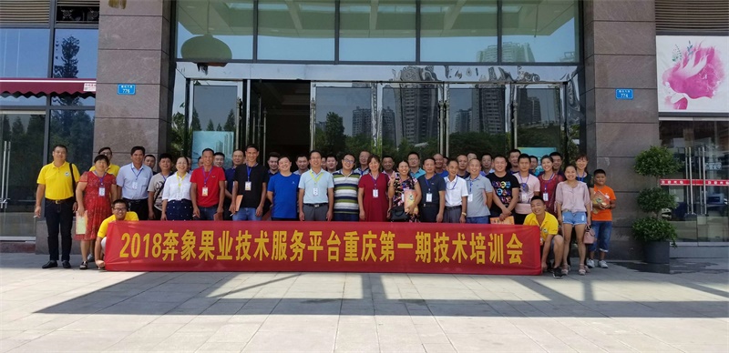 2018奔象果業(yè)技術(shù)服務(wù)平臺(tái)重慶**期技術(shù)培訓(xùn)會(huì)