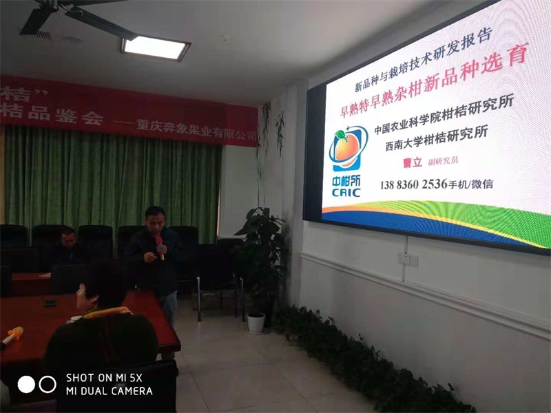 2018首屆中國（重慶）早熟金秋砂糖桔品鑒會(huì)